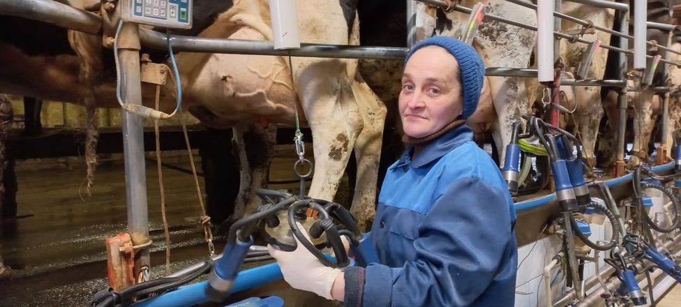 Лучшие нижегородские доярки с одной коровы получают за год свыше 13 тысяч килограмм молока - фото 4