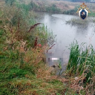 Мужчина утонул в пруду в Дивеевском районе 31 августа - фото 1