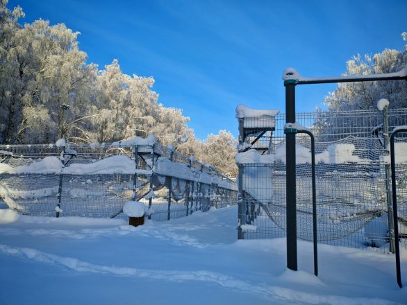 Аномальные морозы в Нижнем Новгороде: фоторепортаж из заснеженных парков - фото 18