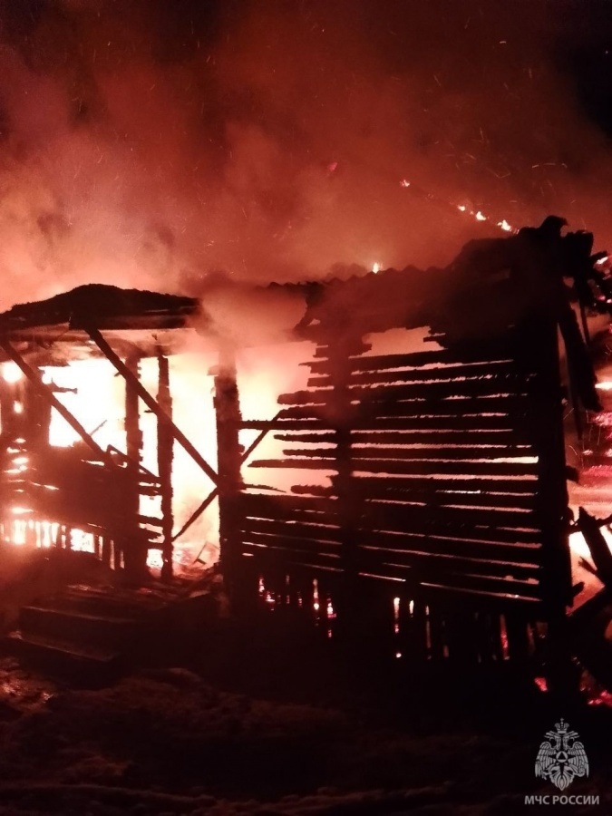 Шесть человек погибли на пожарах в Нижегородской области за неделю - фото 1