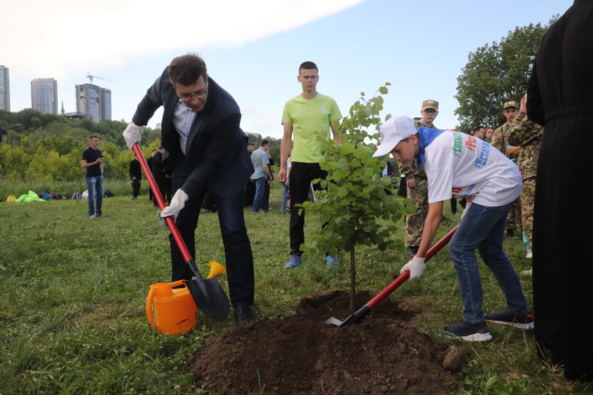600 деревьев высадили в Печерском парке в Нижнем Новгороде - фото 1