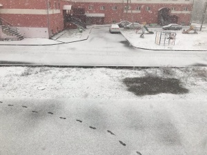 Нижегородцев удивил снегопад в Семенове