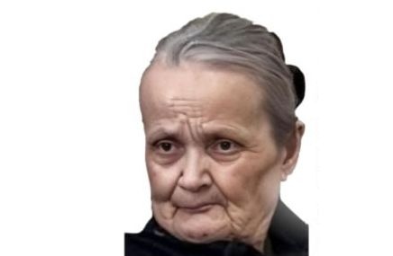 Появились подробности странного исчезновения пенсионерки в Нижнем Новгороде - фото 1