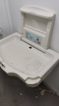 Борьбу с вандалами в уличных туалетах начали в Городецком округе - фото 2