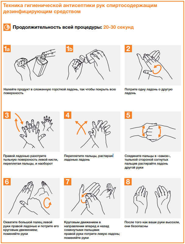 Как правильно мыть руки, чтобы не подхватить инфекцию летом - фото 3