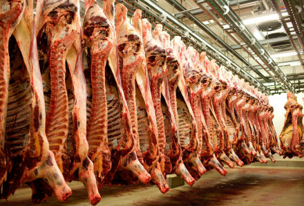 Производство мяса в Нижегородской области увеличилось на 12,5 тысячи тонн