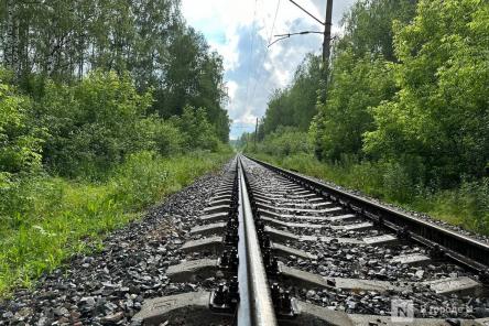 Вагоны грузового поезда сошли с рельсов в Нижегородской области