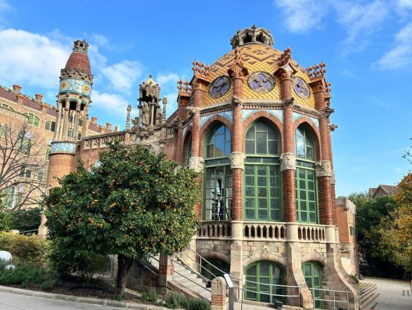 Морские гады, руины и потрясающий климат: вся правда о путешествии Барселона &mdash; Рим - фото 19