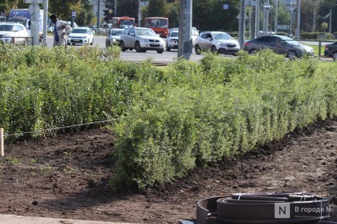 Опубликованы фото площади у Автозаводского универмага после благоустройства - фото 11