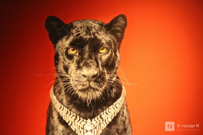 Фоторепортаж: выставка &laquo;АРТ МИР &mdash; 2026&raquo; открылась в Нижнем Новгороде - фото 56