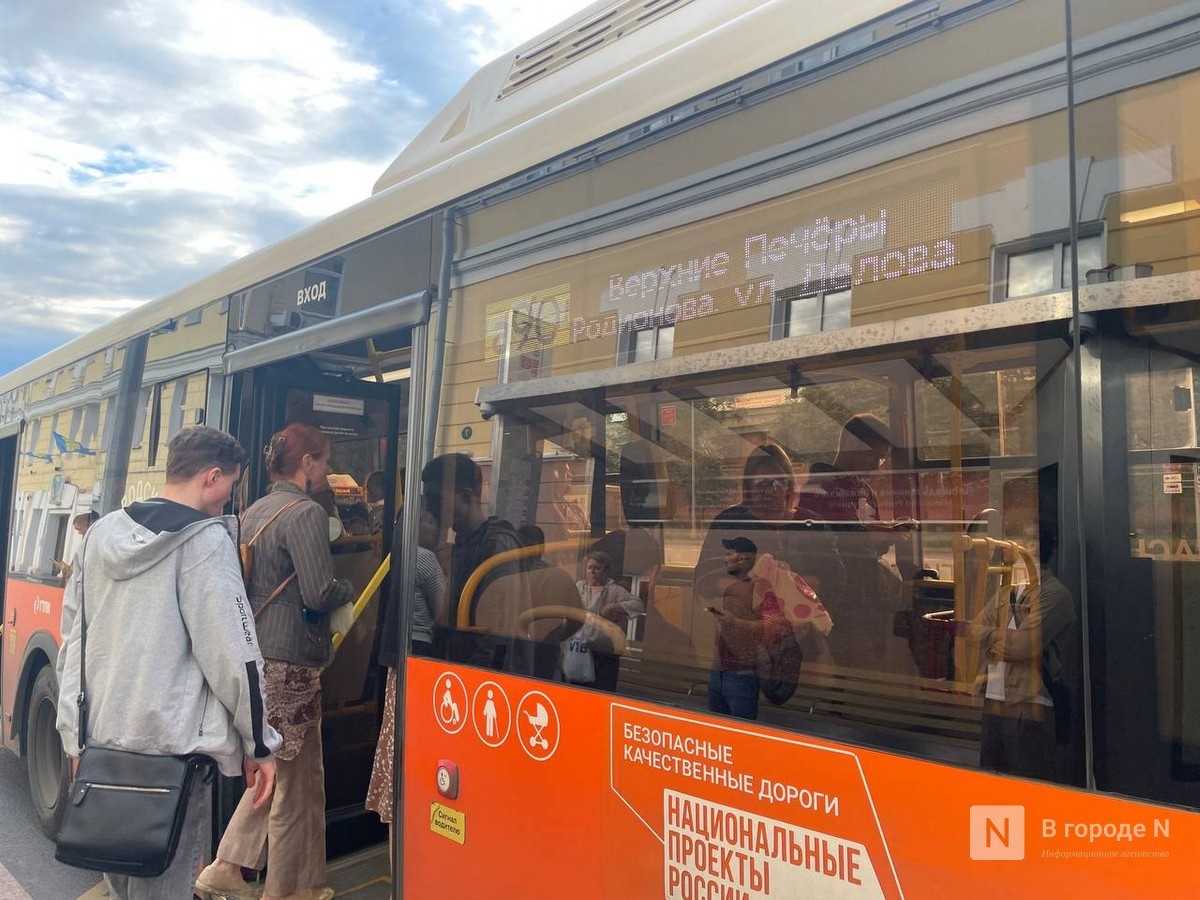 Нижегородцы снова негативно высказались о транспортной реформе - фото 1