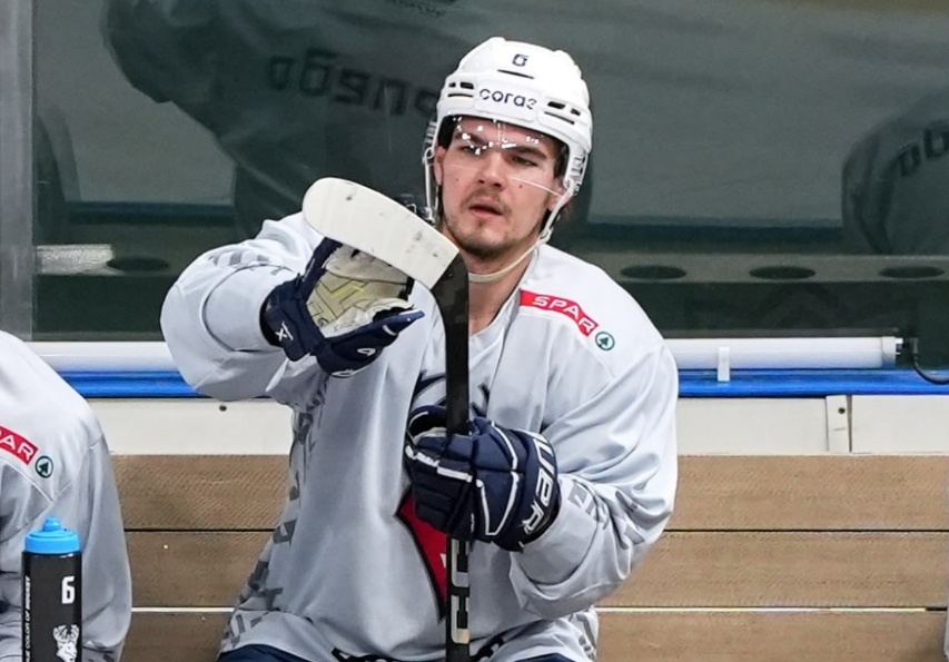 Нижегородское &laquo;Торпедо&raquo; упустило победу в овертайме матча с ХК &laquo;Ак Барс&raquo; - фото 1