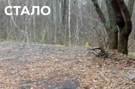 Территорию у экотропы в Бурнаковской низине завалили мусором - фото 2