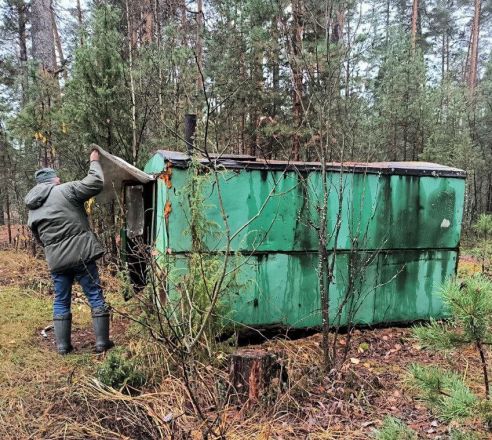 Незаконные постройки нашли в нижегородском национальном парке - фото 1