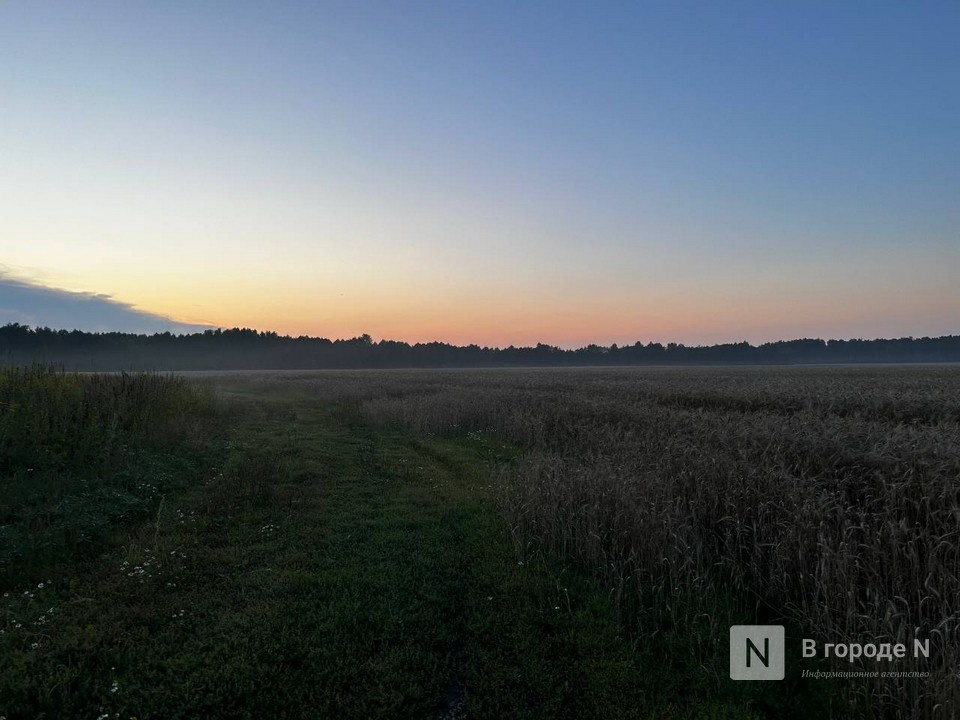 Поселок Сосновка исчезнет с карты Нижегородской области - фото 1