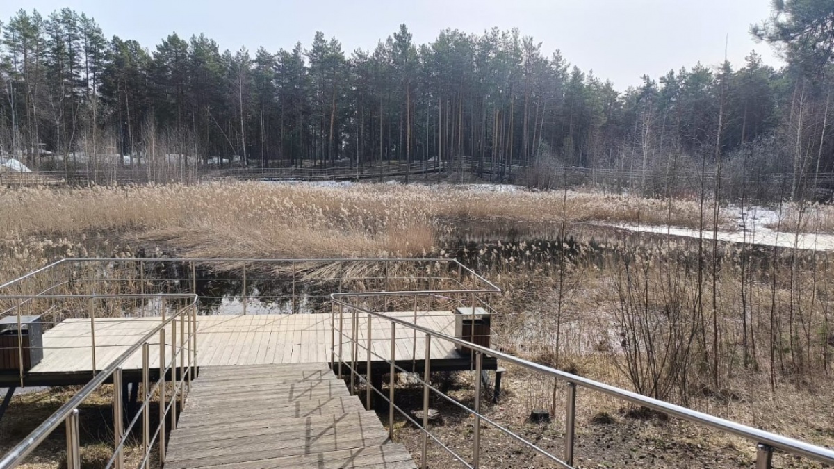 ГУФСИН расчистит озеро в Дзержинске за 35 млн рублей - фото 1