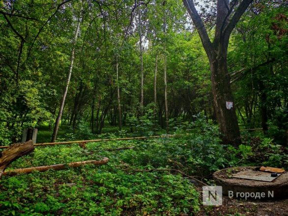 Вторая пошла: как выглядят места, где появится новая канатная дорога в Нижнем Новгороде - фото 32