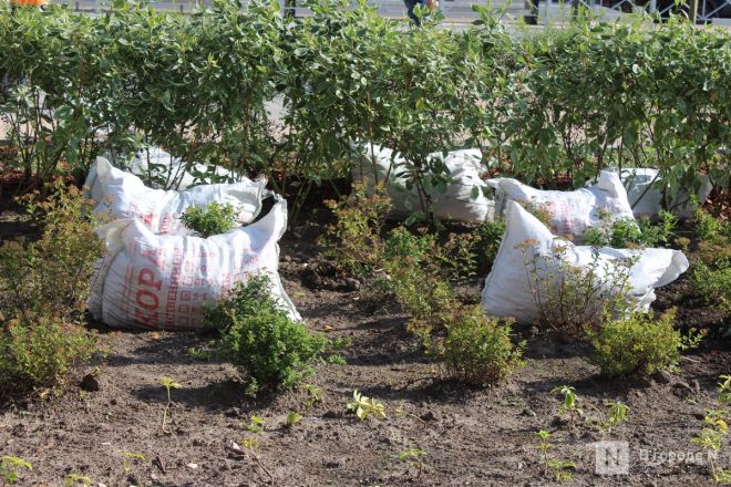 Подрядчик сорвал сроки благоустройства площади у Автозаводского универмага - фото 7
