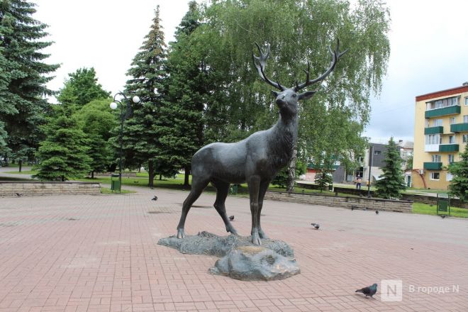 Год под крылом Нижнего Новгорода: как выглядит и чем привлекает Кстово — фоторепортаж - фото 11