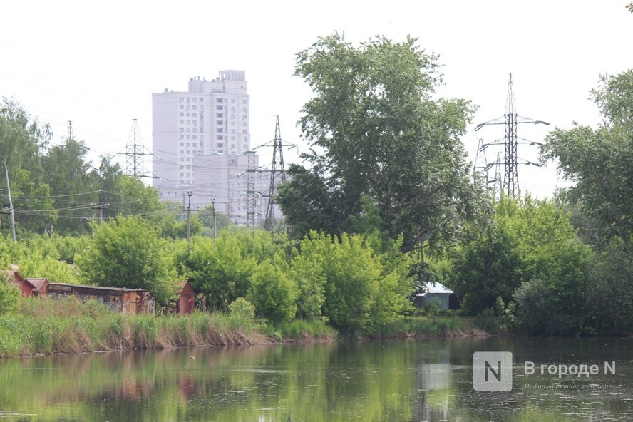 Создание линейного парка на Левинке в Нижнем Новгороде может занять пять лет - фото 5
