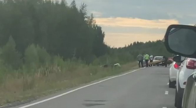 ДТП спровоцировало пробку на Нижегородском шоссе в Дзержинске