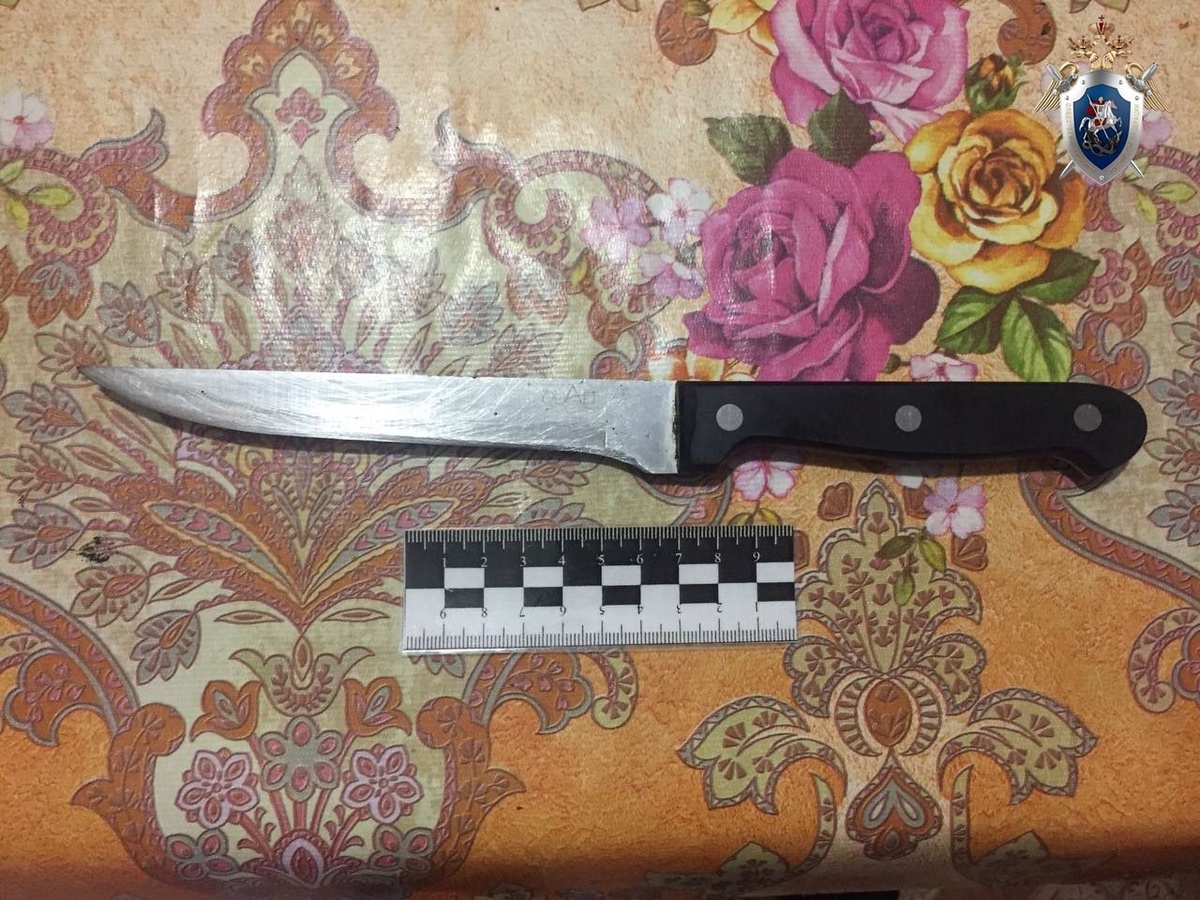 Нижегородец напал на знакомого с ножом из-за долга - фото 1
