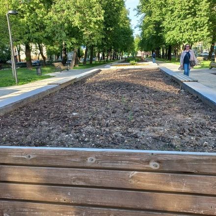 КПРФ просит мэра Нижнего Новгорода отчитаться о затратах на озеленение Звездинского сквера - фото 2
