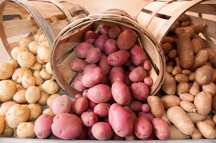 Белый или красный: эксперты рассказали, как правильно выбирать картофель