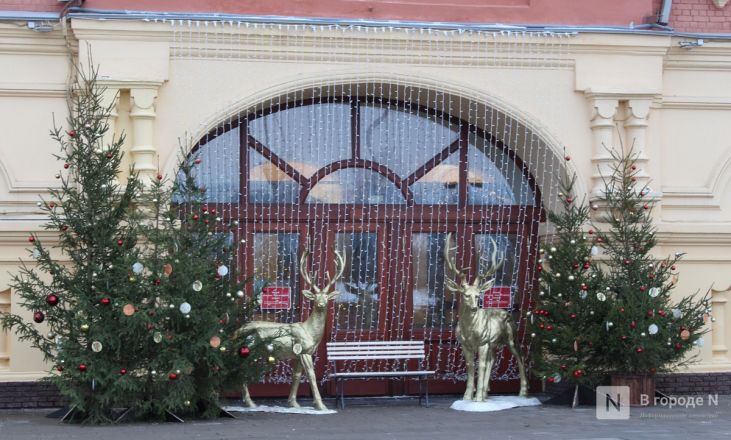 Пингвины, карусель и лунный каток: карта самых атмосферных новогодних локаций Нижнего Новгорода - фото 33